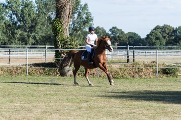 Bild 79 - Pony Akademie Turnier